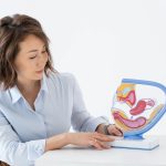 Suivi gynécologique et dépistage : âge, fréquence et examens essentiels après 65 ans